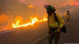 Blaze in Spain: Deadly wildfire tears through Andalusia