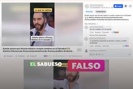 MSN - News update
