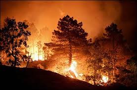 Resultado de imagen para fotos de incendios forestales en republica dominicana