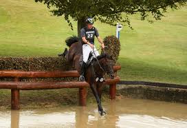 Image result for cross country horse