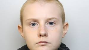 Teen described herself as 'embodiment of hell' before launching far-right axe attack