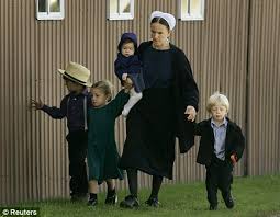 Image result for amish in europe today