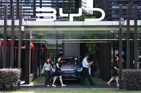 EVs dominate Singapore car registrations