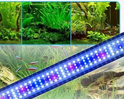 تصویر لامپ LED رشد گیاه آکواریوم