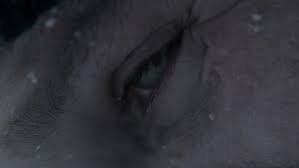 Image result for fortitude episode 8