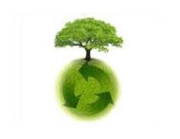 Resultado de imagen de respeto al medio ambiente