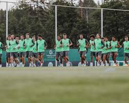 VfL Wolfsburg - News update
