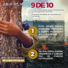 Luces del Siglo - News update