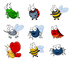 Resultado de imagen de insectos