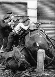 Resultado de imagen de Fotos inéditas | 75 años del comienzo de la Guerra Civil (18 de julio ...