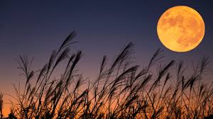 Eclipse Lunar De Agosto De 2026