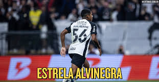 Meu Timão