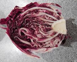 Immagine di Phyllotreta altica danno radicchio