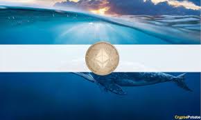 CryptoPotato - News update