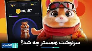 سرنوشت همستر چه شد؟