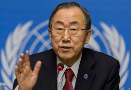 Image result for Vice Chancellor of University of Ghana appointed member of UN University Governing Council