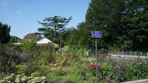 Devoir de mémoire : faire vivre au quotidien la mémoire et les valeurs du monde combattant