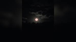 Veja imagens da Lua dos Cervos; fenômeno pode ser visto do Brasil