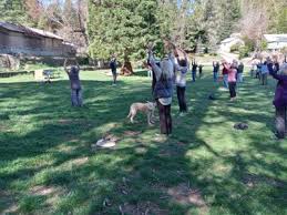 Gold Country Kiwanis to host Tai Chi and Qigong Community Fitness Day on July 25