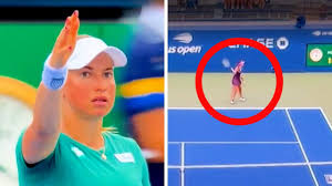 ‘She hit someone’: US Open default drama