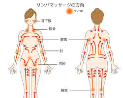 リンパマッサージの画像