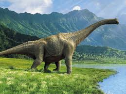 Image result for dinosaurs