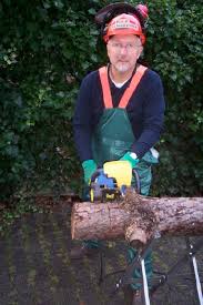 Rolf Schwermer - Transatlantical Technical Communication Project - Rolf_TTCP_Chainsaw