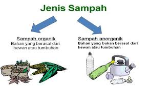 Hasil gambar untuk sampah organik