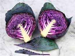 Image result for cabbage