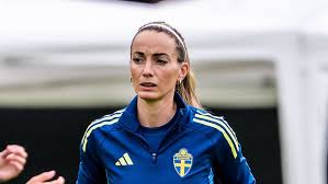 SVT Nyheter - News update