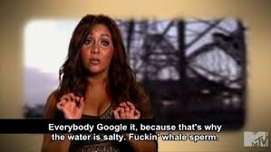 Supreme ten powerful quotes about jersey shore photograph German ... via Relatably.com