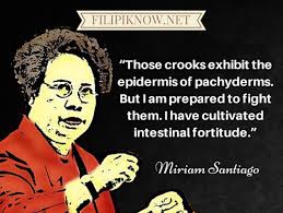 51 Memorable Political Quotes From Miriam Santiago via Relatably.com