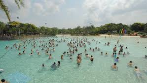 Kids participating in the World's Largest Swimming Lesson at Typhoon Lagoon