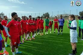 Madagascar's Barea Gear Up for COSAFA Cup & World Cup Qualifiers - Imagen principal del artículo