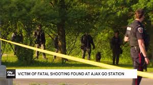 CityNews Toronto - News update