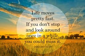 Country Life Film Quotes Theiapolis | Cute Love Quotes via Relatably.com