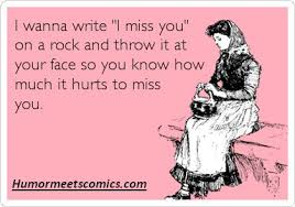 I wanna write &quot;I miss you&quot; on a rock and throw it at your face so ... via Relatably.com