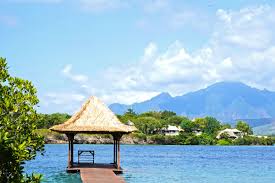 The Bali Sun - News update