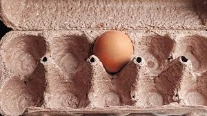 19 million eggs were recalled for salmonella — but the drug-resistant strain behind it makes this more serious than most — Yahoo Creators