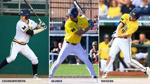 Image result for michigan baseball