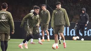 Manual de supervivencia en sintético