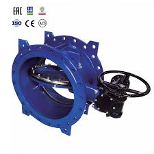 double offset butterfly valve