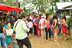 Resultado de imagen para cultivos de flores en jarabacoa