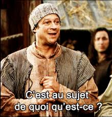 Résultats de recherche d'images pour « kaamelott paysans révolte gif »