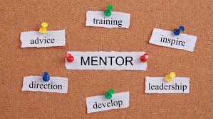 Image result for how to choose the right mentor photo