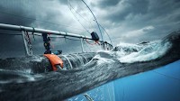 News - Revenues soared for ScaleAQ in 2024