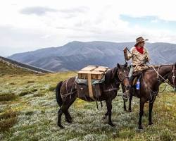 Horse riding in Australian ranch的圖片