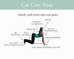 Hình ảnh về Catcow pose yoga