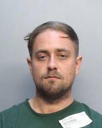 Florida man accused of stealing Colorado airman's dog while housesitting arrested in Miami-Dade, sheriff's office says