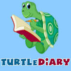 Image result for turtle diary